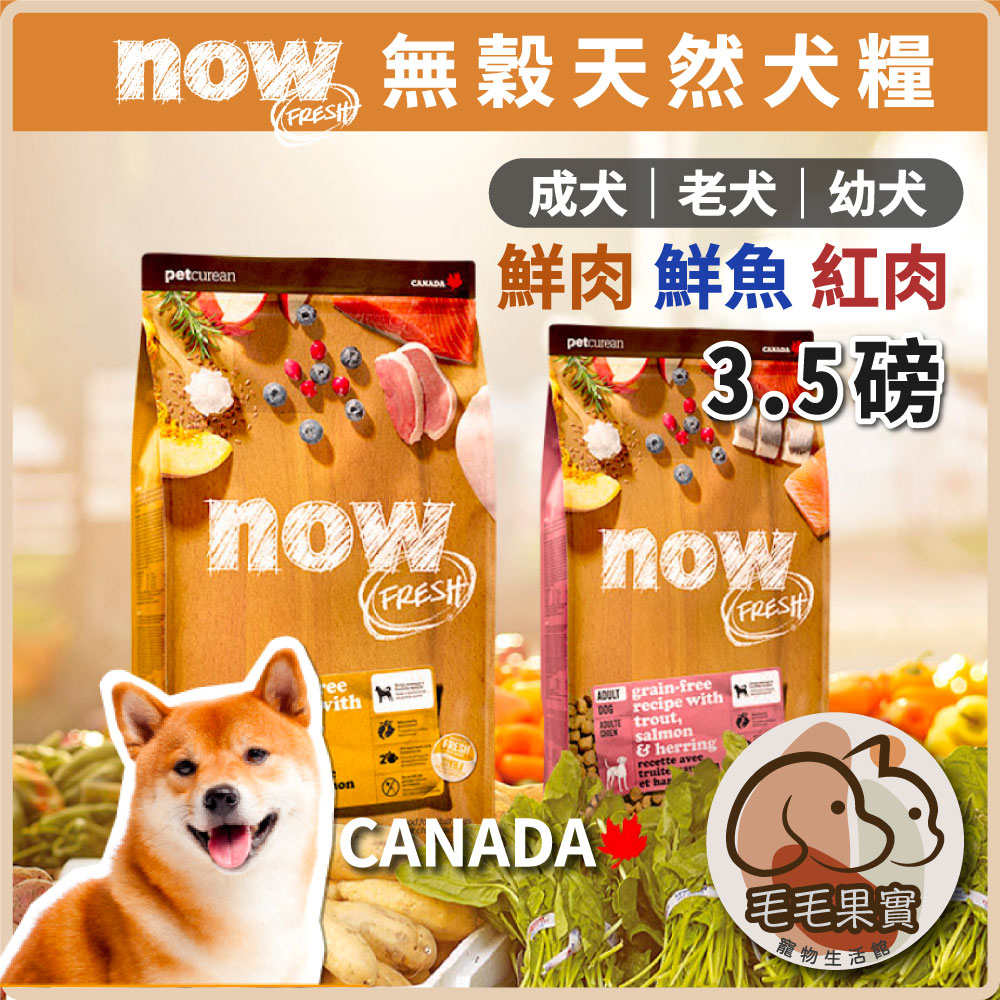 🔆毛毛果實🔅NOW! 無穀天然犬糧 鮮肉 紅肉 鮮魚 狗飼料 乾飼料 無穀飼料 成犬 老犬 小型犬 中型犬 減重犬 全齡