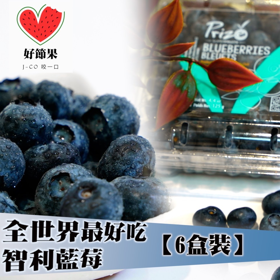🇨🇱智利鮮採藍莓🫐 6盒裝 🎁 滿額免運【好節果】❤️
