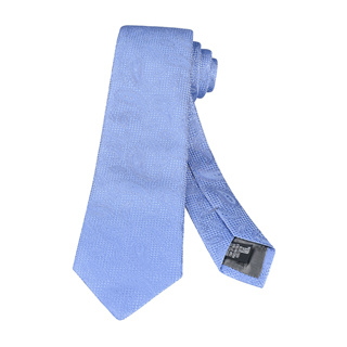 EMPORIO ARMANI內襯老鷹緹花LOGO佩斯利花紋真絲領帶(寬版/淺藍)