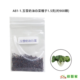 A81-1.玉雪奶油白菜種子1.5克(約900顆)(有藥劑處理)牛奶白菜，矮腳型，葉綠色有光澤，葉柄奶白色【綠藝家】