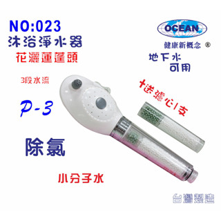 【巡航淨水】FORMOSA P3除氯花灑沐浴器淨水器.禮品.嬰兒用品.美白.套房.旅遊攜帶.租屋.廚具.貨號023