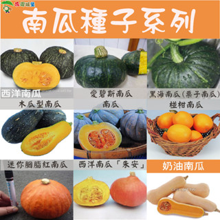 現貨-南瓜種子系列 西洋南瓜 千歲栗子南瓜 朱安 迷你胭脂紅南瓜 愛碧斯南瓜 椪柑南瓜 奶油南瓜 木瓜型南瓜 花園城堡