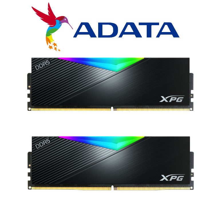 威剛 LANCER DDR5 5600 RGB 32G(16x2)AX5U5600C3616G-DCLARBK【每家比】 | 蝦皮購物