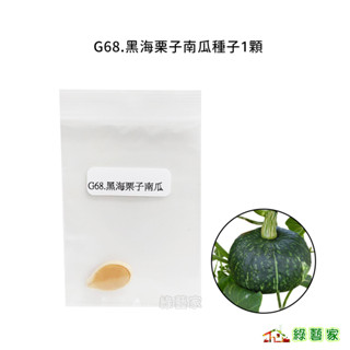 G68.黑海栗子南瓜種子1顆(F1,生長強勢；低溫生長旺盛,產量高；高雌易著果品種,果實扁圓形；果皮深綠色)【綠藝家】