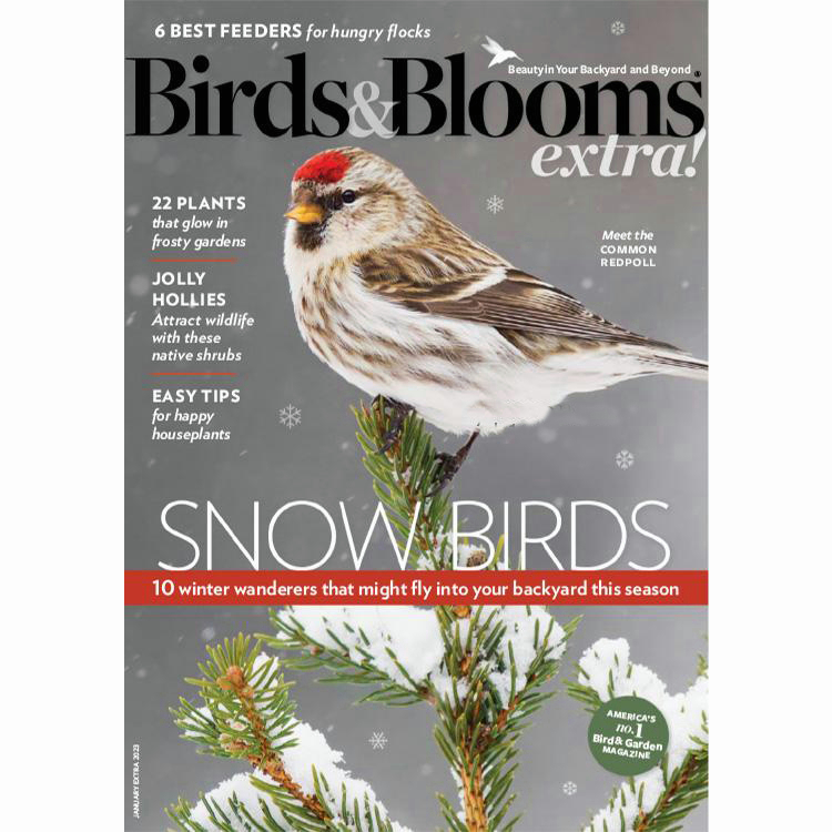 【美國版】《Birds and Blooms Extra》2023年合集北美鳥類花園愛好者資訊建議觀鳥雜誌pdf電子版（