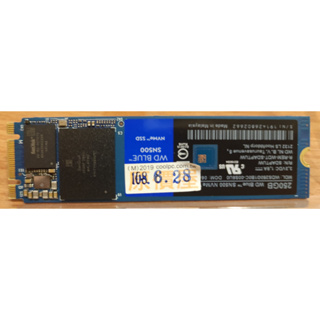 250GB SSD WD Blue SN500[M.2][二手]
