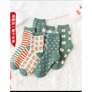 ❤️在台現貨❤️ 韓國襪 棉襪 長襪 短襪 穿搭 保暖 長筒襪