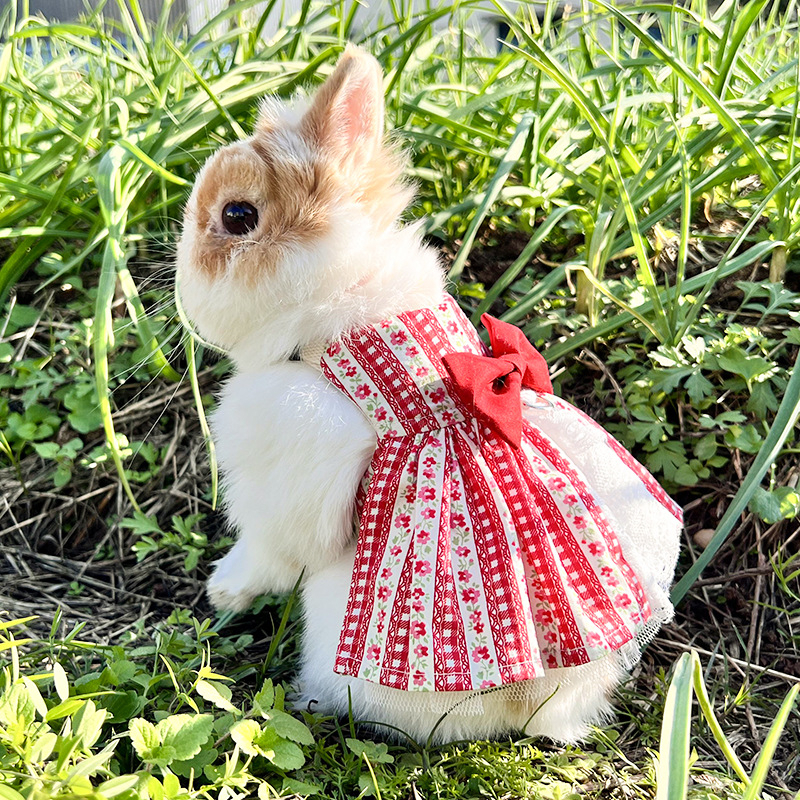 ♧牧草園♧ 兔子 天竺鼠  日式風 牽繩衣 胸背