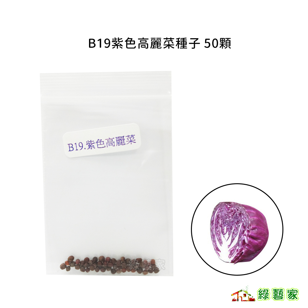 B19.紫色高麗菜種子50顆(日本進口紫色甘藍，結球大，品質佳。)結球類及花菜類種子【綠藝家】