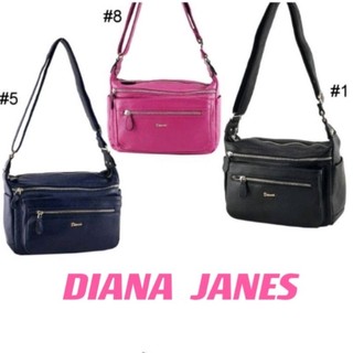 🎀【DIANA JANES】黛安娜原廠公司貨真皮皮包 女包 純牛皮🎒三色🚚快速出貨【🎀限量預購】