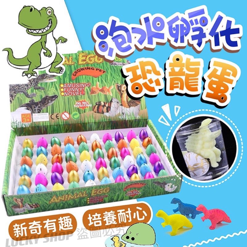 🔥買10送1🔥泡水孵化恐龍蛋 泡水恐龍蛋 孵化恐龍蛋 孵化蛋 恐龍蛋 泡水玩具 膨脹恐龍蛋 魔術蛋 恐龍玩具 科學小實驗