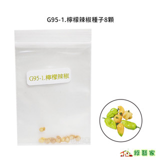 G95-1.檸檬辣椒種子8顆(辣味夠，香氣足，青果綠色，成熟果轉為檸檬奶油色)果菜類種子【綠藝家】