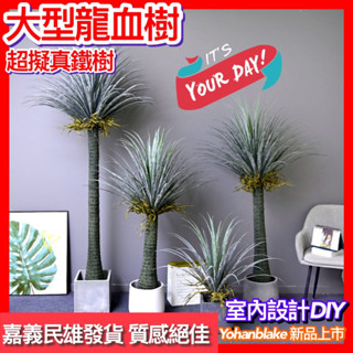 民雄發貨😇北歐模擬龍血樹😇鐵樹 家居大型植物 餐廳景觀植物 室內綠植 裝飾盆栽 粗桿龍血樹 入口玄關裝飾