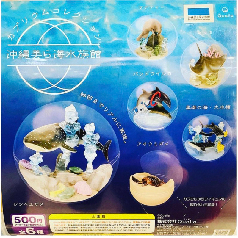 日本沖繩新版 美麗海水族館大顆扭蛋【限定商品、免運】