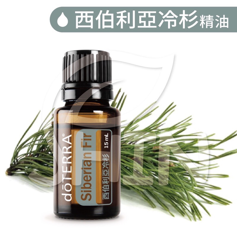 💘多特瑞dōTERRA 西伯利亞冷杉精油（滾珠瓶）10ml 原廠公司貨 快速出貨 台灣現貨