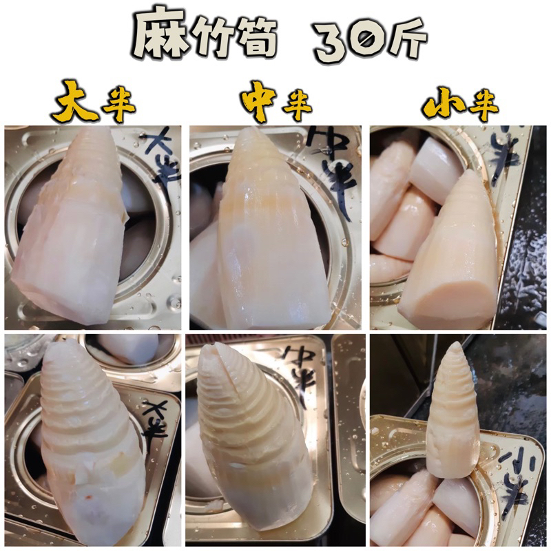 【電子發票】#現貨 熟麻竹筍 營業用 桶筍 30斤〔澤鋐雜貨店〕