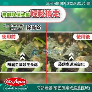 【AC草影】Mr.Aqua 水族先生 除藻錠（100錠）【一罐】除藻類 魚缸清潔 去除黑毛藻 除青苔 青苔清潔 除藻