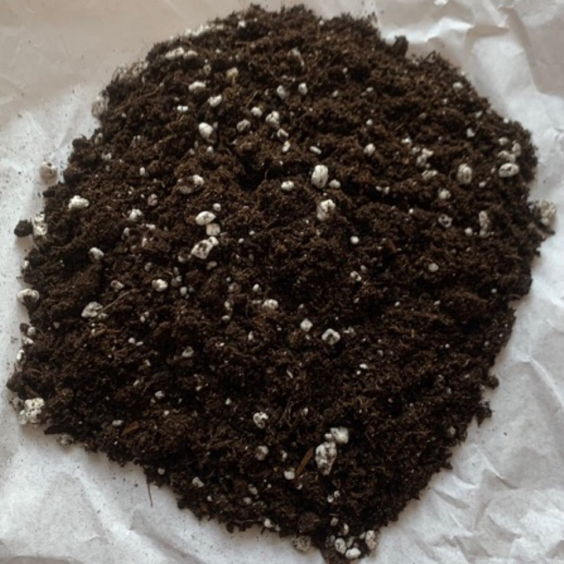 泥炭土⚠️2公升⚠️栽培、育苗、扦插、播種介質