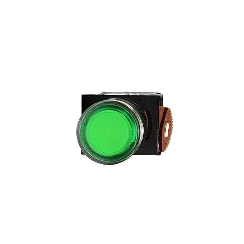 NHD賀電 照光平頭按鈕開關(綠色按鈕)NLB22-F10YE 按鈕可復歸型A B接點可任意搭配 AC110V~220V