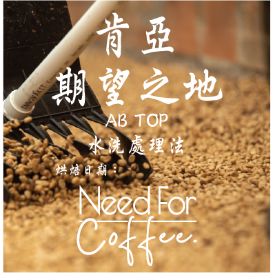 肯亞☆期望之地 超甜超好喝 水洗 / 咖啡豆 / 濾掛咖啡 / 咖啡生豆 / 自家烘焙咖啡豆 / 新鮮烘焙咖啡