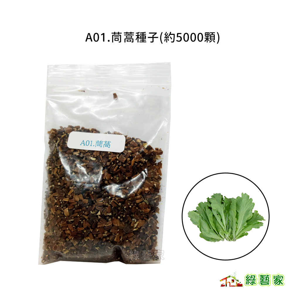 A01.茼蒿種子5000顆 // 葉色嫩黃，葉片闊大，水份多，少纖維質，品質最佳葉菜類種子【綠藝家】