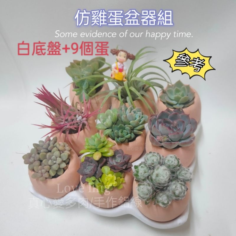 💗現貨 仿雞蛋盆器 整組6入/9入[Love ling 真心/手作]✩多肉組盆✩ 紅土 水泥 蛋殼 可愛陶土 創意花器