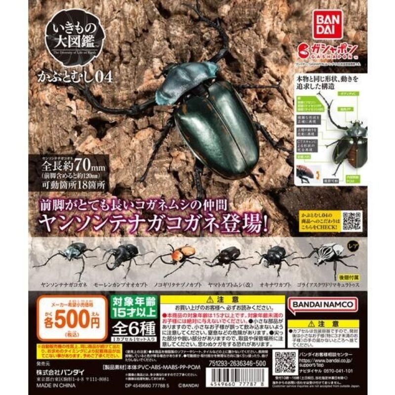 [現貨] BANDAI 萬代 生物大圖鑑 扭蛋 轉蛋 獨角仙 04 大王花金龜 陽長臂金龜