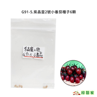 G91-5.紫晶靈2號小番茄種子6顆 // 成熟果色為棕紫色，果型為短橢圓形，果重約15-20公克果菜類種子【綠藝家】