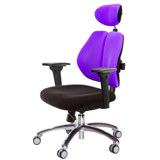GXG 人體工學 雙背椅 (鋁腳/3D升降扶手) 型號2994 LUA9