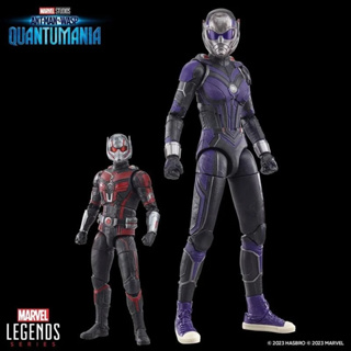 預購6月 Marvel Legends 蟻人與黃蜂女 量子狂熱 蟻人3 征服者 7+1 BAF 凱西