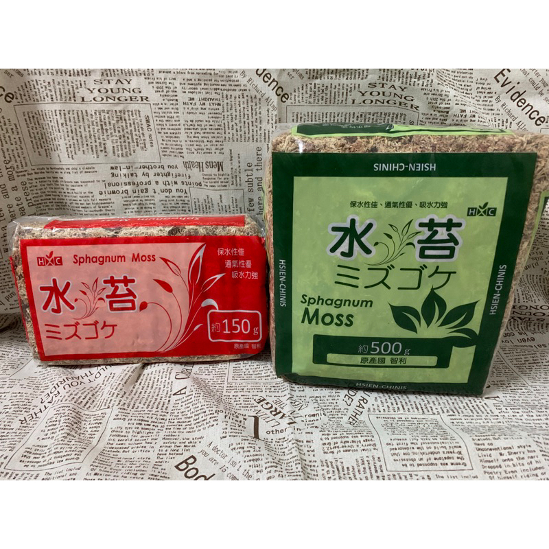 現貨-智利水苔150g 500g蘭科植物 水草 觀葉植物 育苗育種 水苔