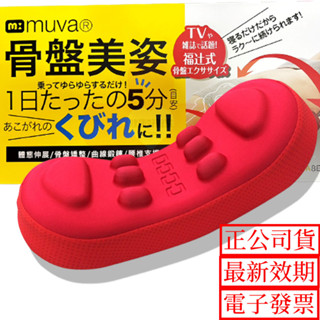 滿額免運 muva美姿骨盤枕 附發票 保證公司貨 骨盆枕 瑜珈枕 按摩滾筒 按摩腰部 骨盆