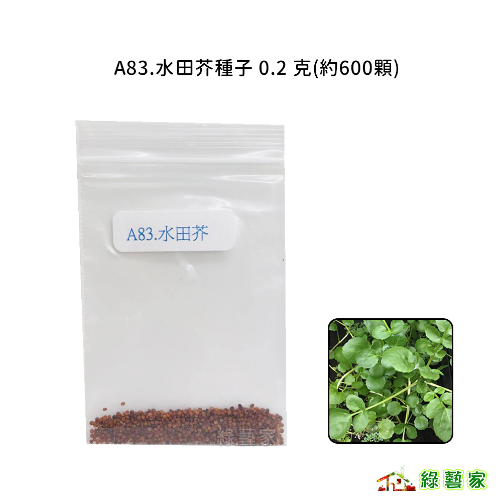 A83.水田芥種子 0.2 克(約600顆) (豆瓣菜.水芹.西洋菜 )葉菜類種子【綠藝家】