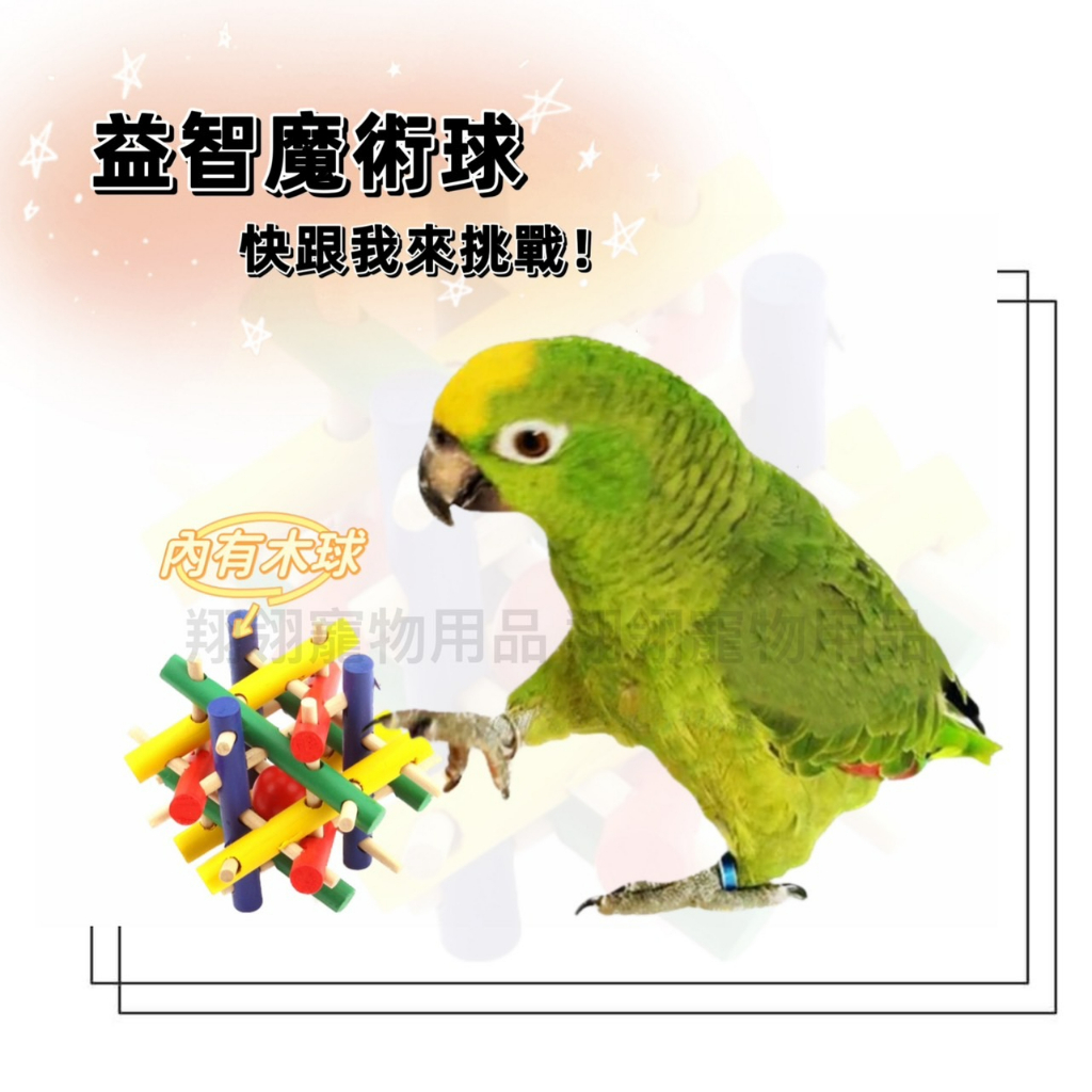 #台灣現貨【實木魔術球玩具】《鸚鵡 互動 益智玩具》鳥玩具 鸚鵡玩具 球 益智 I107