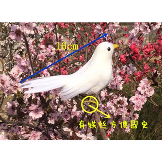 臺灣現貨❗多色翹尾巴小鳥 手工製作羽毛模型 cosplay道具 小鳥擺飾 萬聖節道具假鳥模擬小鳥 白色小鳥粉色小鳥