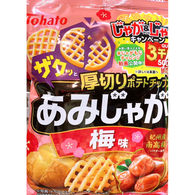 【亞菈小舖】日本零食 東鳩厚切網狀洋芋片 梅子 酸奶洋蔥 鹽味【優】