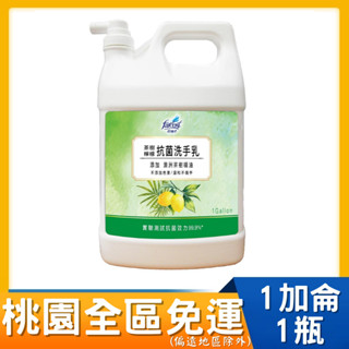 桃園全區限定，回饋桃園全區 花仙子 茶樹檸檬洗手乳1加侖 無色檸香 茶樹莊園