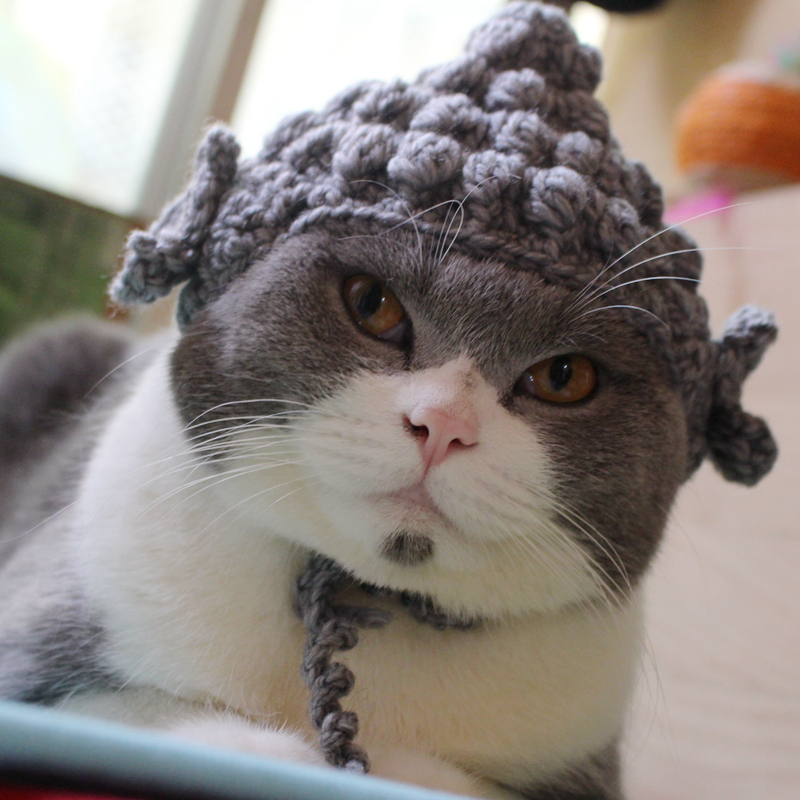 手工編織佛祖帽貓咪頭套搞笑寵物變裝帽COS模仿帽英短美短貓頭飾