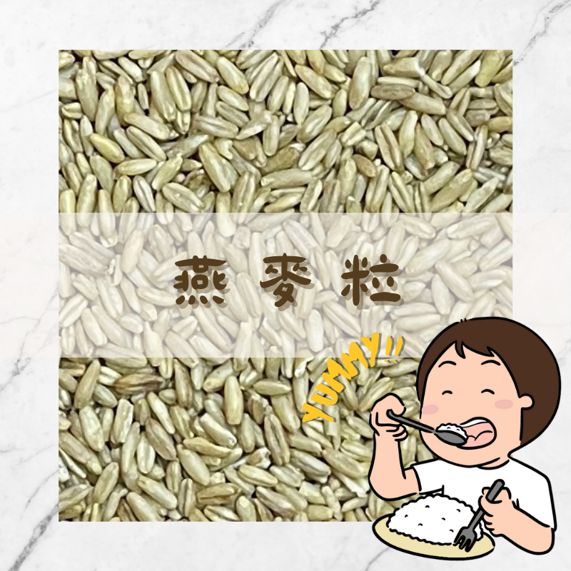 Yummy!! 燕麥粒 Whole Oats｜原型燕麥｜五穀米｜十穀米｜五穀雜糧