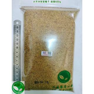 【太平洋芽菜種子】紫花苜蓿芽種子600g(苜蓿草種子)-澳洲進口-約300000顆-可水耕/土耕/煮食-三日芽苗菜種子