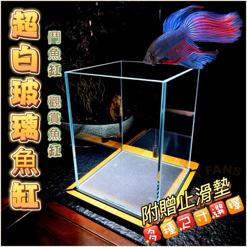 【水族狂粉】水族最便宜🔥小魚缸 超白缸 鬥魚缸 角蛙缸 超白玻璃魚缸  -10、13、15cm立方加高加厚鬥魚缸/5mm