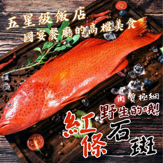 【帥哥魚】🔥野生手釣🔥 頂級紅條石斑 海魚 紅條 野生紅鰷 野生紅條 紅條魚 紅鰷石斑 紅條石斑 東星石斑