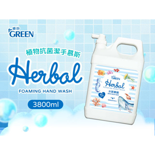 綠的GREEN 植物抗菌潔手慕斯加侖桶-3800mlx4 (箱購) 水族樂園/開心花園 洗手泡泡 洗手慕斯