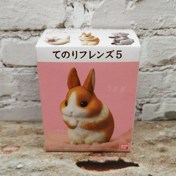 日本 BANDAI 正版盒玩 小鳥 掌上好朋友 5 第五彈 單售 01 兔子 全新未拆 倉鼠 兔子 刺蝟