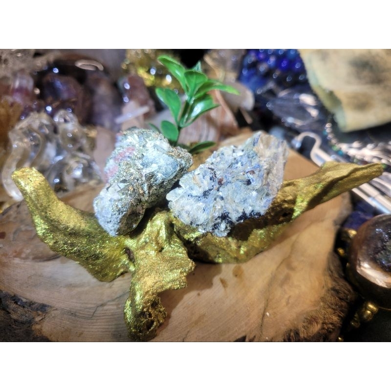 🐉黃銅礦+藍閃石~原礦金根雕擺件🐉