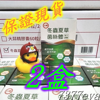 保證現貨 臺糖冬蟲夏草菌絲體複方膠囊 60粒x2盒 多盒優惠 有效日期2026年5月 臺糖生技保健食品