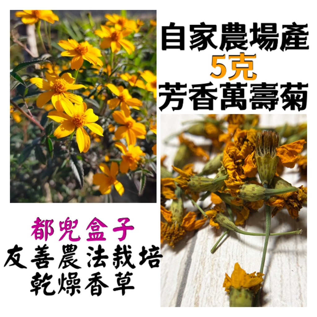 《都兜盒子》🟪自家農場-乾燥芳香萬壽菊/芳香萬壽菊花/無農藥栽培/乾燥花草