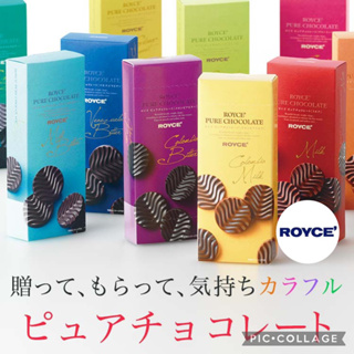 ☘️預購 好吃☘️日本 北海道 ROYCE 巧克力 20入 40入 瓦楞巧克力片 波浪巧克力片 純巧克力 北海道 伴手禮