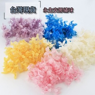 永生繡球花3g/10g(最便宜才$102元)安娜繡球A級高品質臺灣現貨出貨永生綉球 永生花手腕花胸花花盅乾燥花花材花束