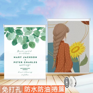 客製化 圖案捲簾 免打孔捲簾 遮光捲簾 升降式捲簾 手拉式捲簾 衛生間捲簾 廚房捲簾 浴室捲簾 廁所捲簾 防水捲簾
